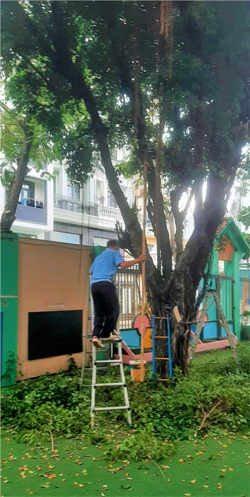 Ảnh đại diện